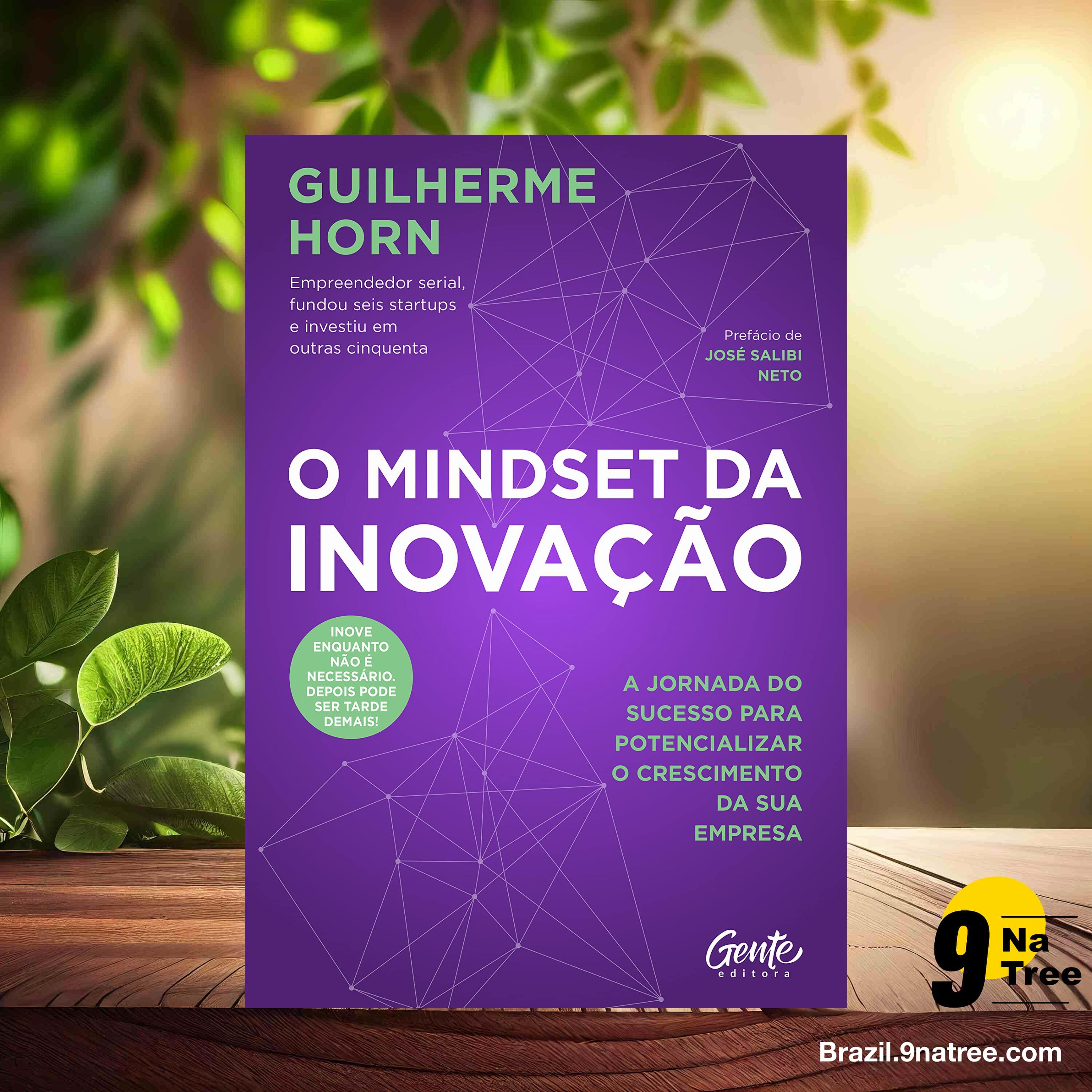 [Análises] O mindset da inovação (Guilherme Horn) Resumidos. episode artwork