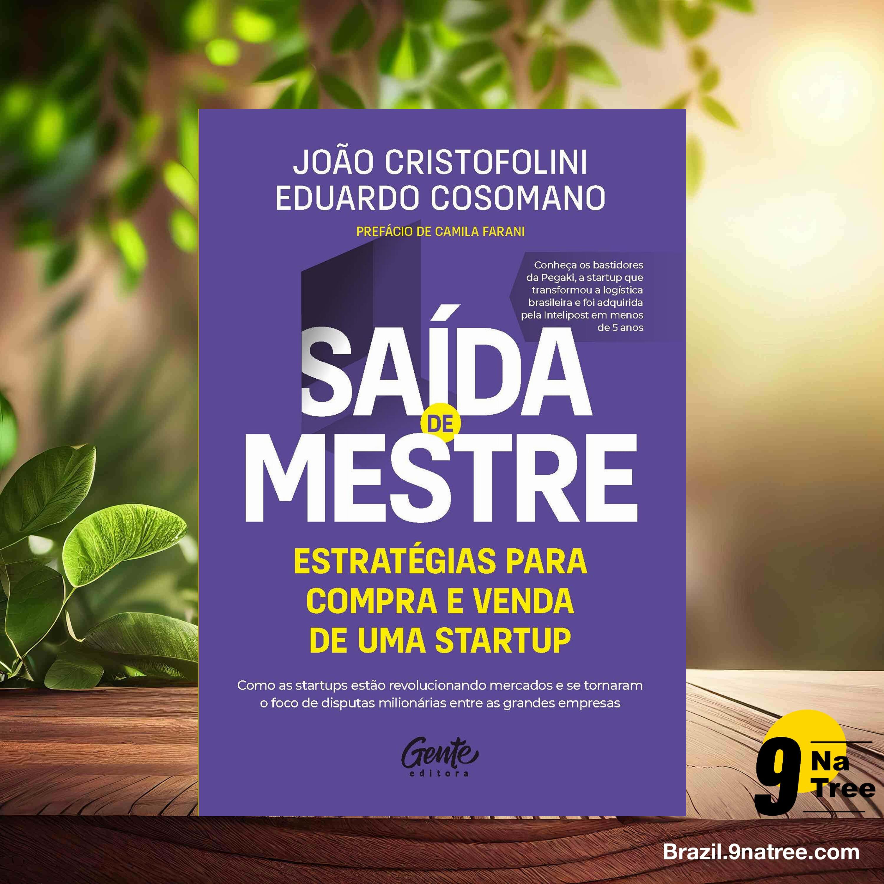 [Análises] Saída de mestre (João Cristofolini) Resumidos. episode artwork