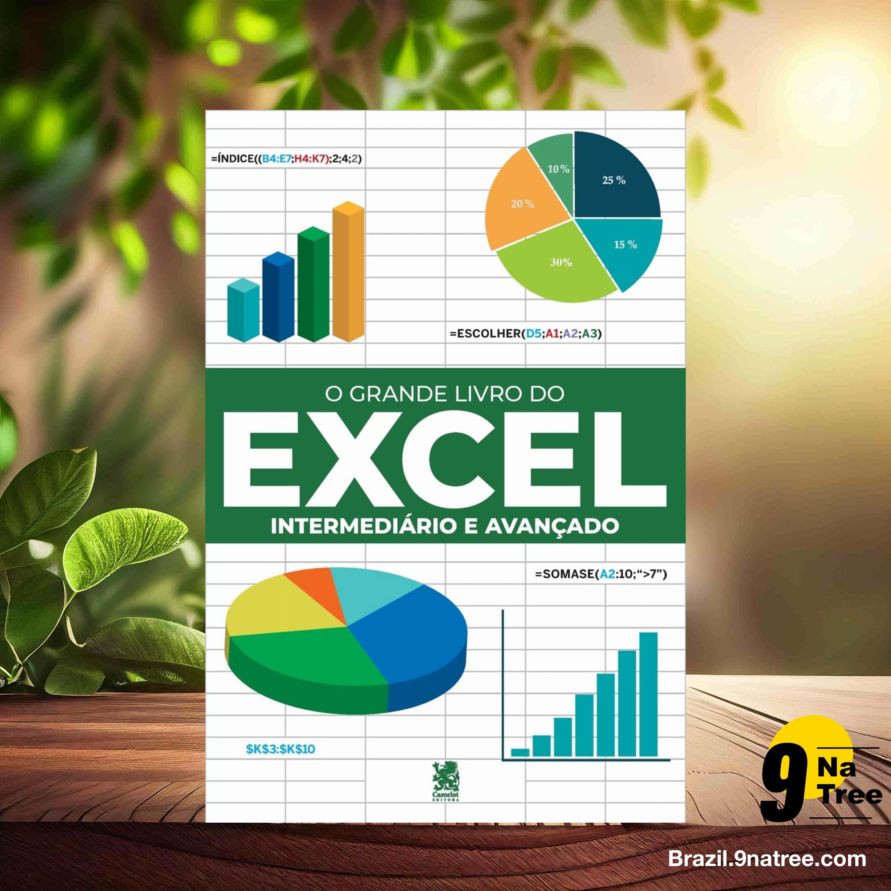[Análises] O Grande Livro do Excel - Intermediário e Avançado (Robério Gonçalves) Resumidos. episode artwork