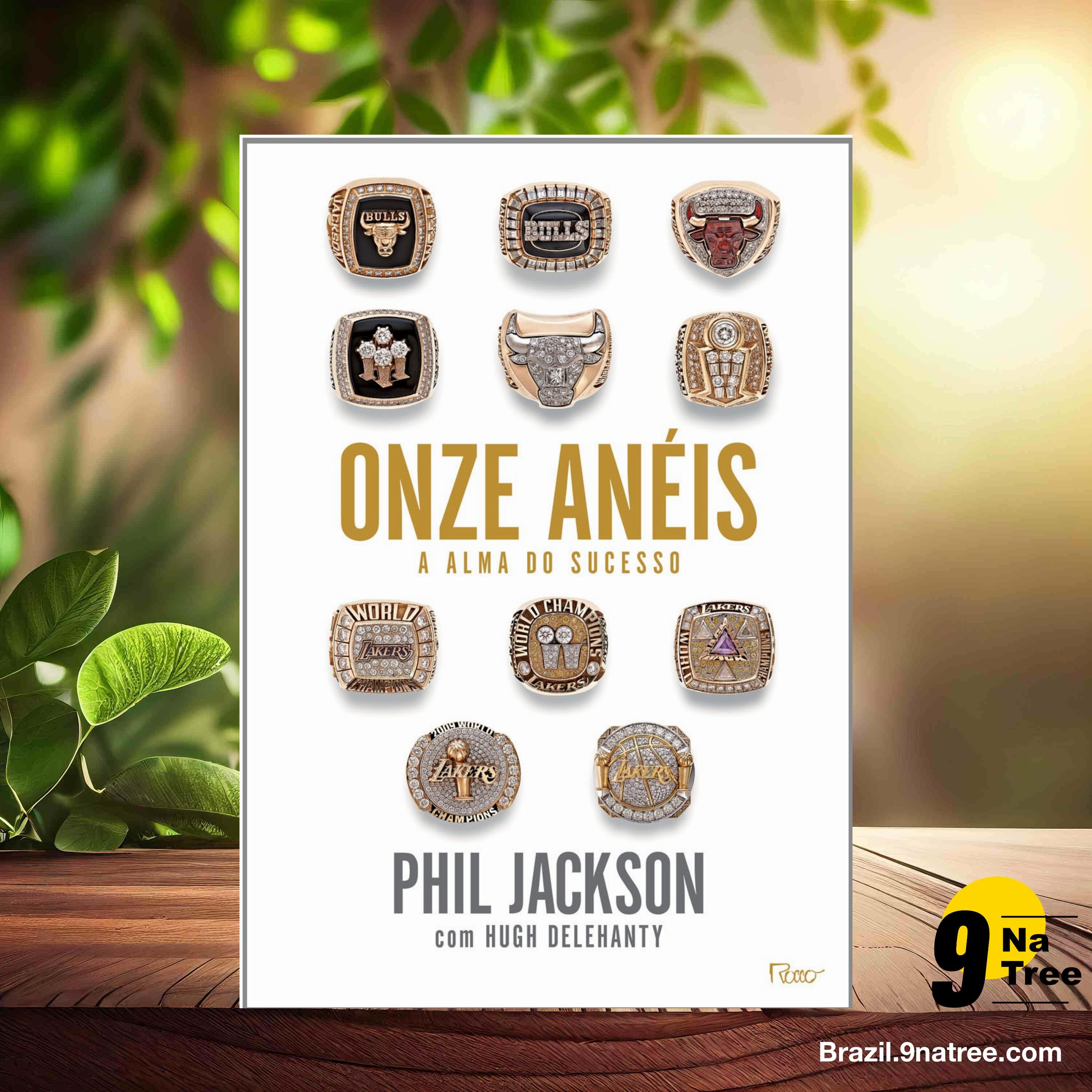 [Análises] Onze anéis: A alma do sucesso (Phil Jackson) Resumidos. episode artwork
