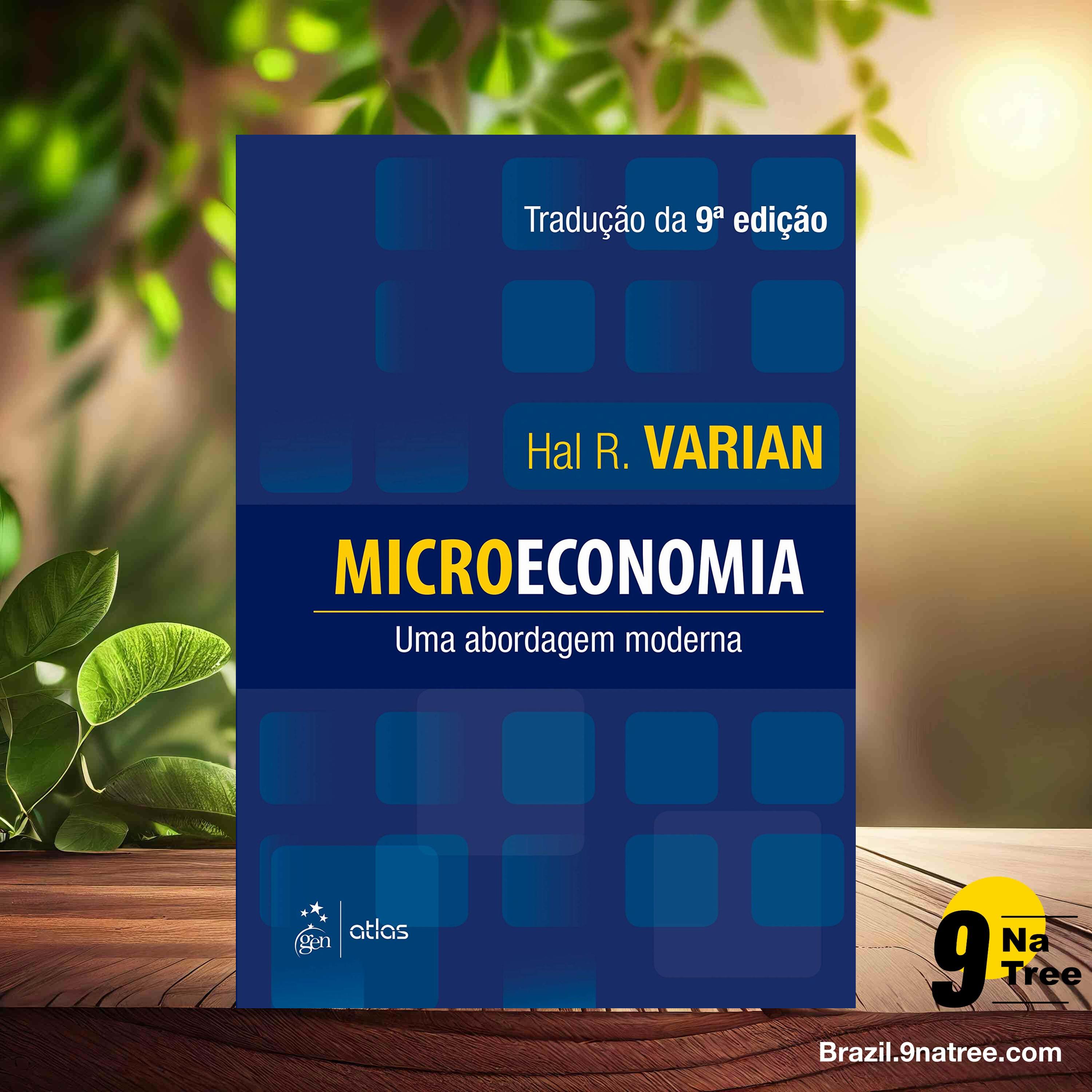 [Análises] Microeconomia - Uma Abordagem Moderna (Hal Hal Varian) Resumidos. episode artwork