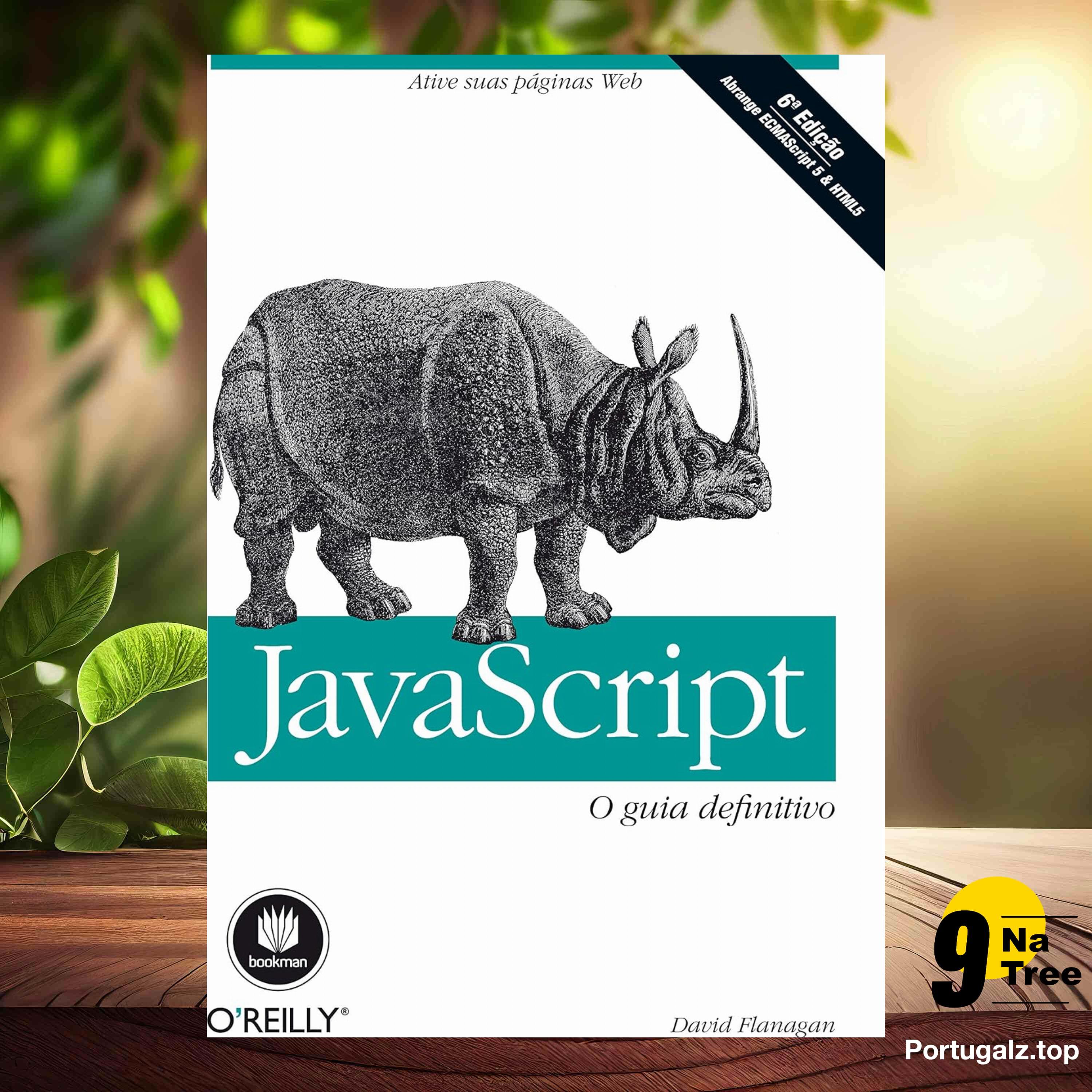 [Análises] JavaScript: O Guia Definitivo (David Flanagan) Resumidos. episode artwork