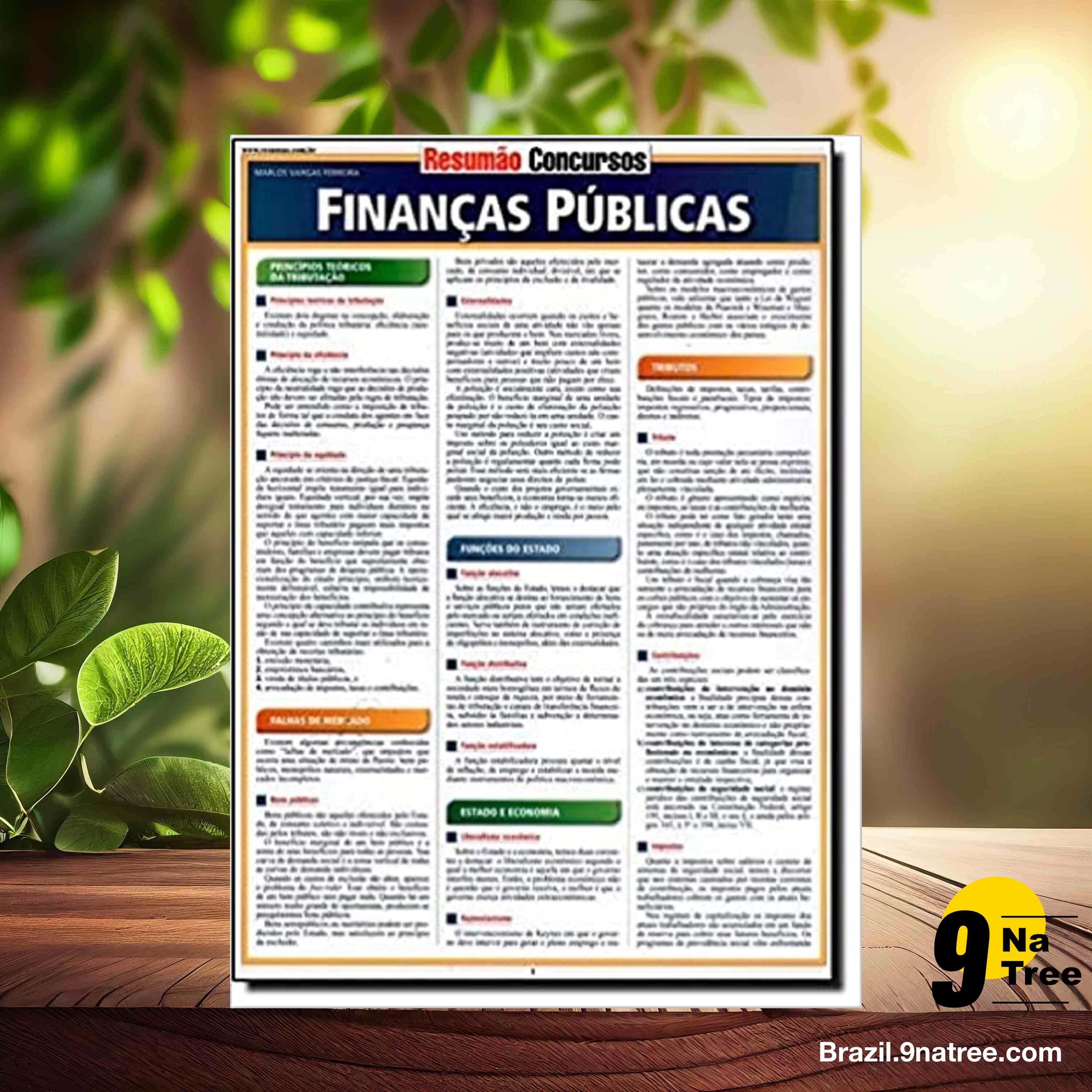 [Análises] Finanças públicas (Marlos Vargas Ferreira) Resumidos. episode artwork