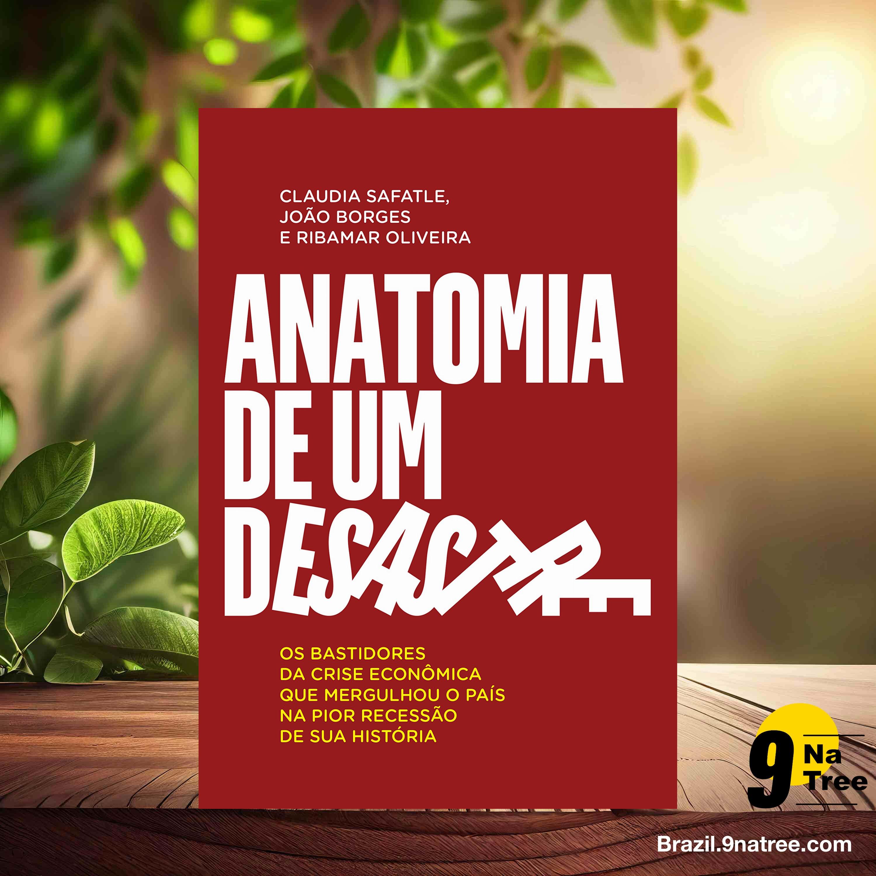 [Análises] Anatomia de um desastre (Claudia Safatle) Resumidos. episode artwork