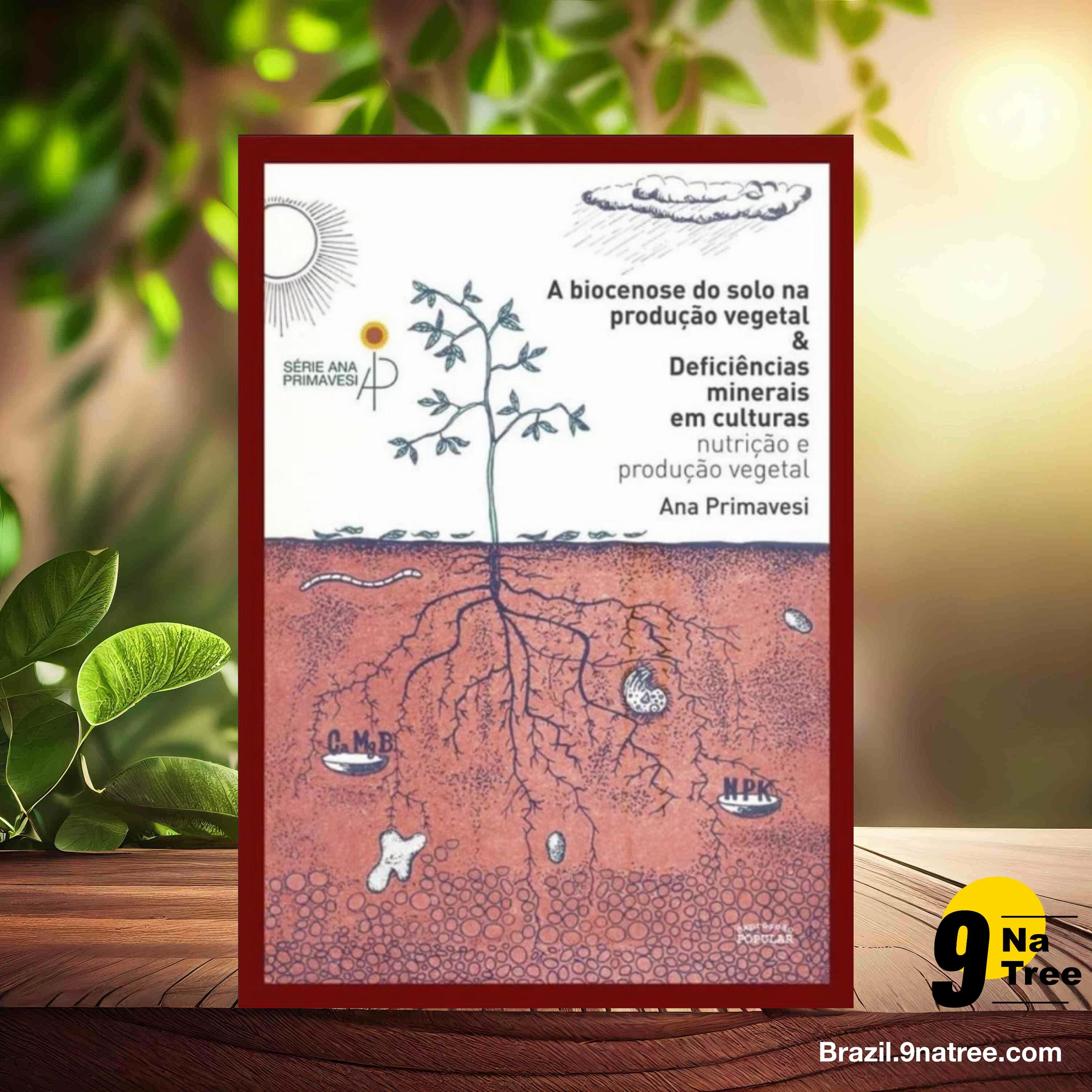 [Análises] A biocenose do solo na produção vegetal & deficiências minerais em culturas (Ana Maria Primavesi) Resumidos. episode artwork