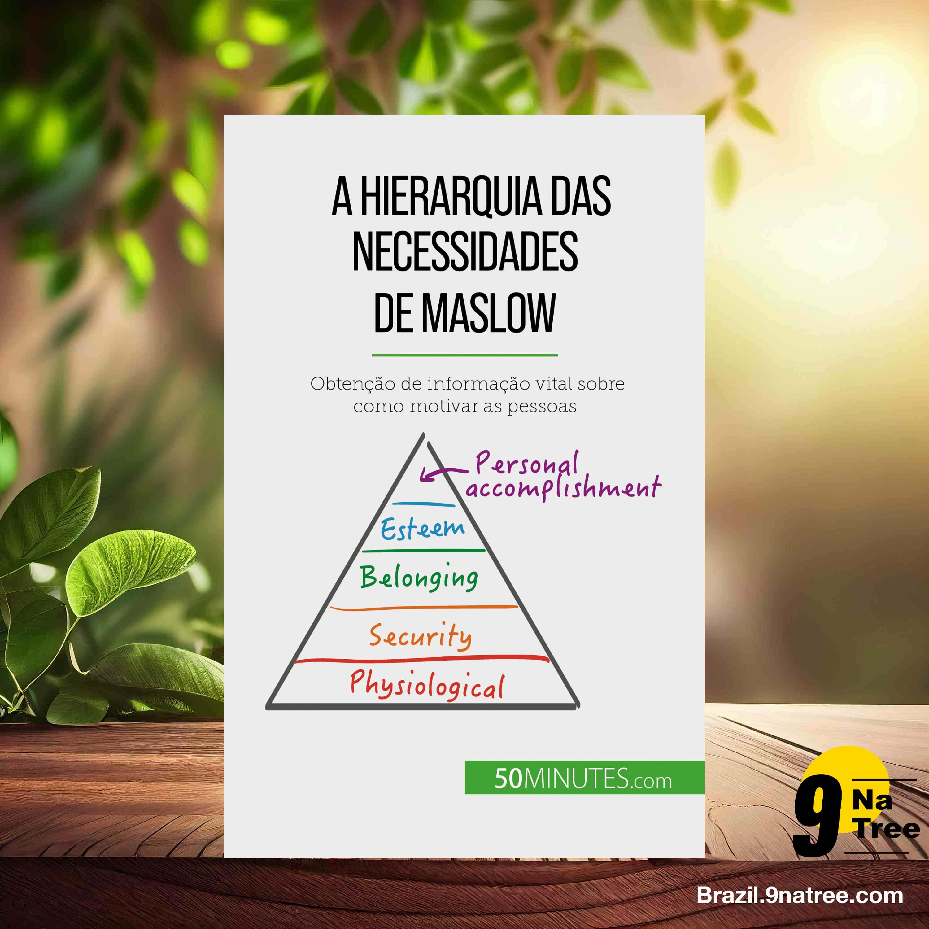 [Análises] A Hierarquia das Necessidades de Maslow (Pierre Pichère) Resumidos. episode artwork